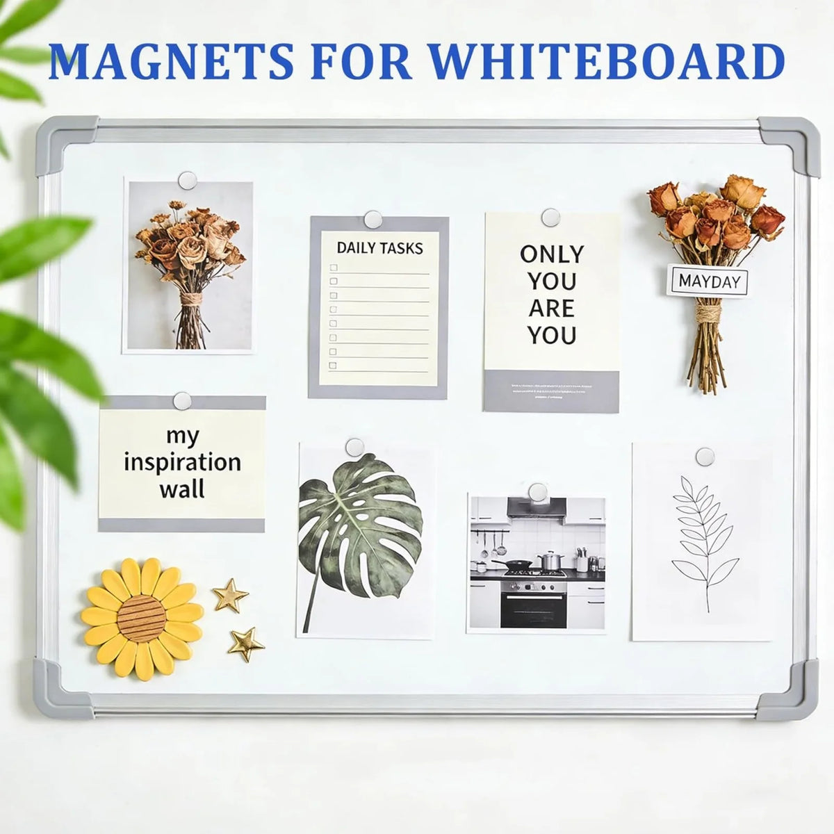 8x3mm Round Refrigerator Magnets, Small Fridge Magnets, Office Magnets, Whiteboard Magnets, Durable Mini Magnets,  Kitchen