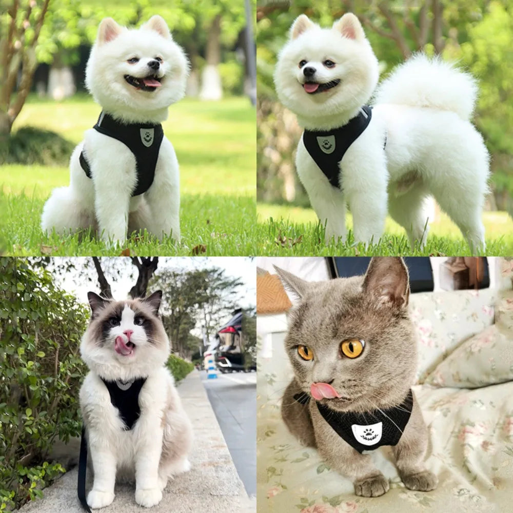 Adjustable Cat Dog Harness Leash Set Reflective Escape Proof Mesh Vest Puppy Kitten Chest Strap Pet Walking Safety Lead Supplies