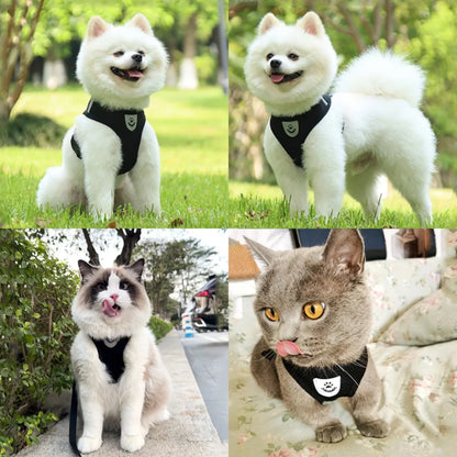 Adjustable Cat Dog Harness Leash Set Reflective Escape Proof Mesh Vest Puppy Kitten Chest Strap Pet Walking Safety Lead Supplies