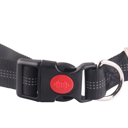 Retractable Dog Leash with Adjustable Waist Rope Hand Free Running Jogging Cycling Big Dogs Pet Elasticity Lead Pet Supplies