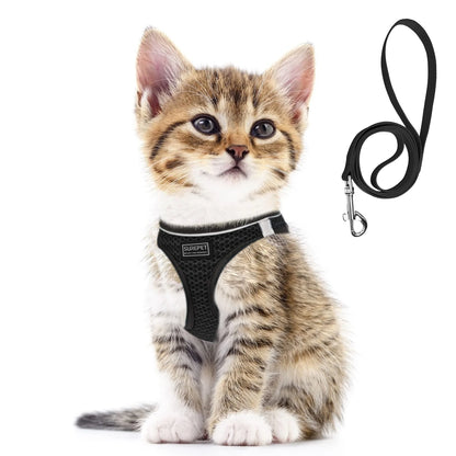 Cat Dog Harness with Lead Leash Adjustable Vest Polyester Mesh Breathable Harnesses Reflective Sti for Small Dog Cat Accessories